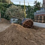 Progetto giardino privato Forte dei Marmi - NSV Garden