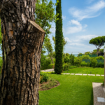 Progetto giardino privato Forte dei Marmi - NSV Garden