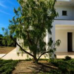Progetto giardino privato Forte dei Marmi - NSV Garden