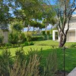 Progetto giardino privato Forte dei Marmi - NSV Garden