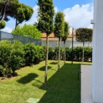 Progetto giardino privato Forte dei Marmi - NSV Garden