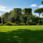Progetto giardino privato Forte dei Marmi - NSV Garden