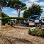 Progetto giardino privato Forte dei Marmi - NSV Garden