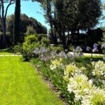 Progetto giardino privato Forte dei Marmi - NSV Garden