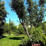 Progetto giardino privato Forte dei Marmi - NSV Garden