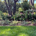 Progetto giardino privato Forte dei Marmi - NSV Garden