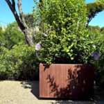 Progetto giardino privato Forte dei Marmi - NSV Garden